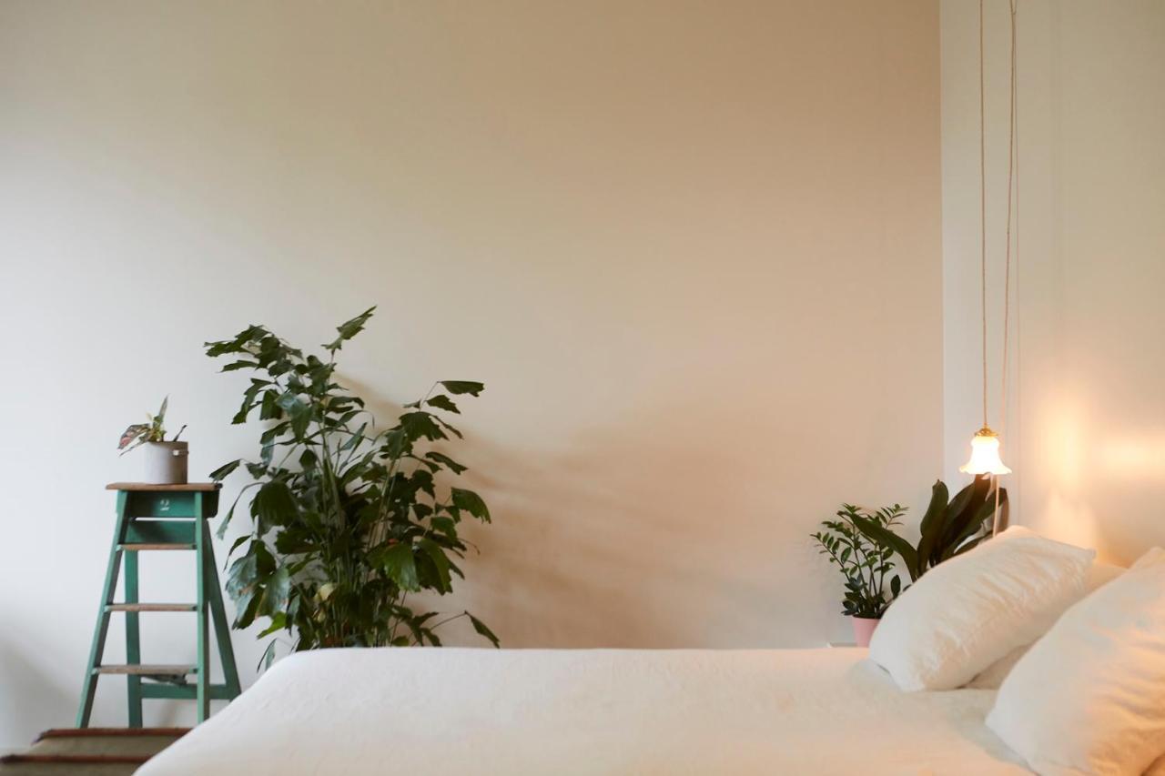 Chambre D'Amis By Alix Gent Exterior foto